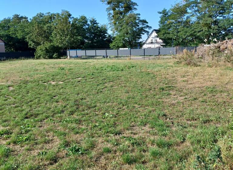 Grundstück zum Kauf provisionsfrei 15.000 m²<br/>Grundstück vorhanden<br/>Baugenehmigung Rudolf Breitscheid Str. Rehfelde Rehfelde 15345