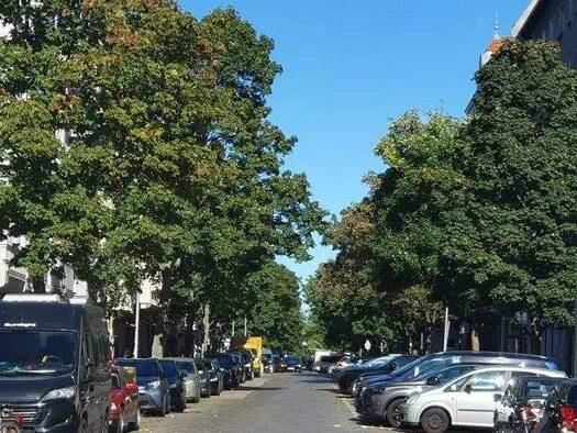 Ladenfläche zur Miete 4.230 € 6 Zimmer 215 m² Verkaufsfläche Prenzlauer Berg Berlin 10407