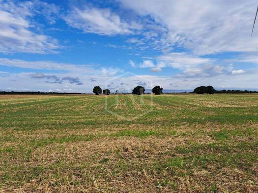Landwirtschaftliche Fläche zum Kauf 50.000 € 3.728 m² Grundstück Vettweiß 52391