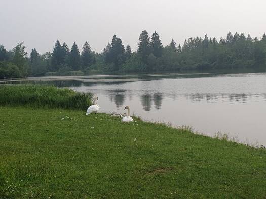 Loft zur Miete 1.300 € 4 Zimmer 116 m² Geschoss 1/2 frei ab 01.03.2026 Scheuring 86937