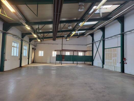 Lagerhalle zur Miete 2.011 € 555 m² Lagerfläche Apolda 99510