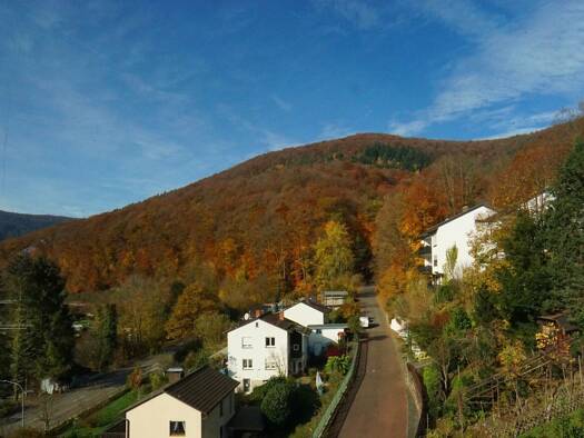 Wohnung zum Kauf 245.000 € 3 Zimmer 85,4 m² Neckarsteinach 69239