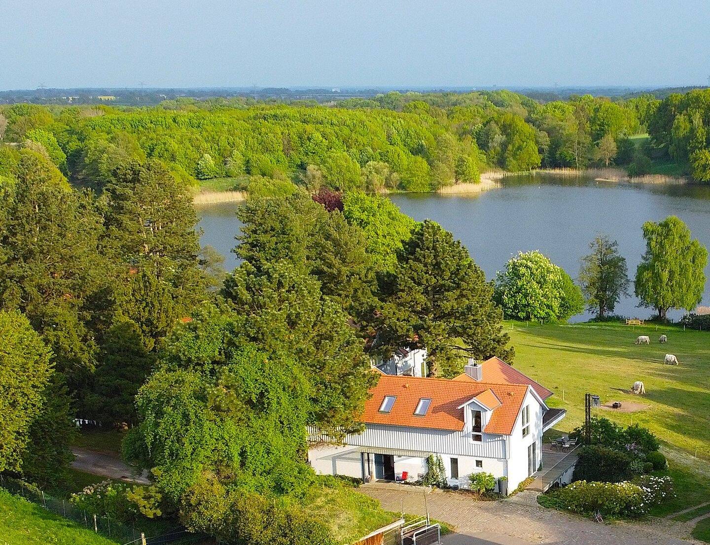 Immobilie in Bebensee - --stilvolles Architektenhaus mit Seegrundstück-- - Bild 0