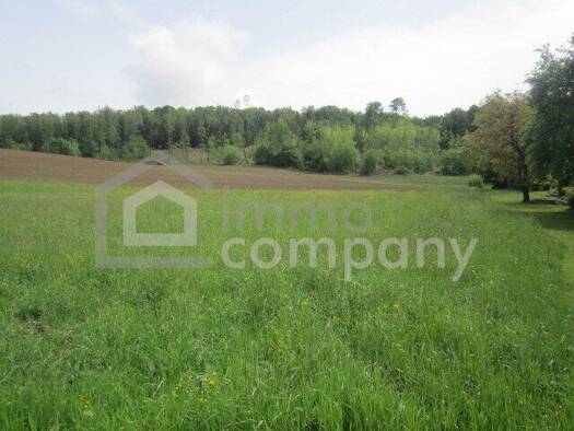 Grundstück zum Kauf 5.166 m² Grundstück Güssing 7540