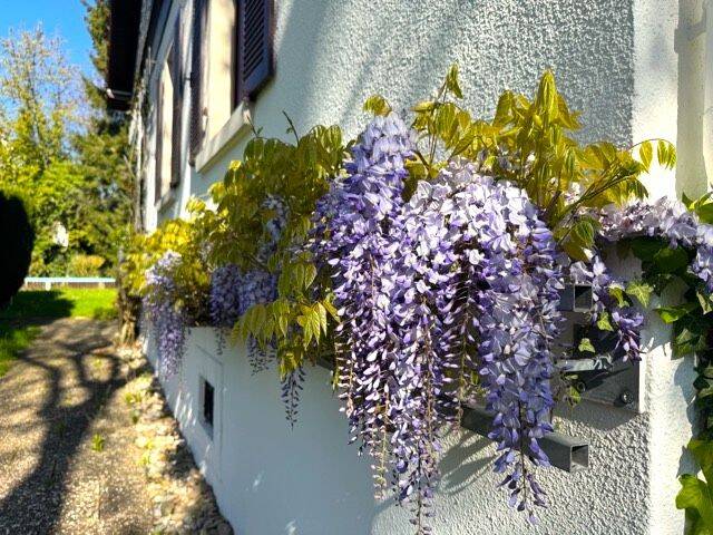 Einfamilienhaus zum Kauf - Ansicht 4