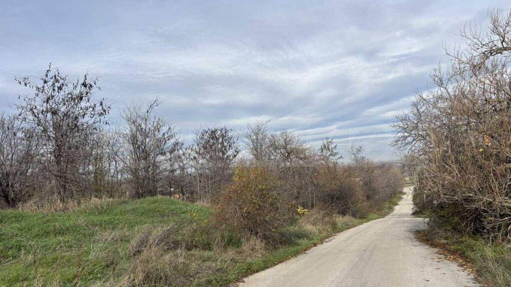 Grundstück zum Kauf 71.783 € Cheshnegirovo