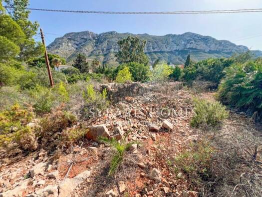 Acker-/Waldstück zum Kauf 240.000 € Dénia 03700