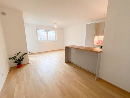 Wohnung zur Miete 1.465 € 3 Zimmer 78,4 m² 2. Geschoss Hernals 1170