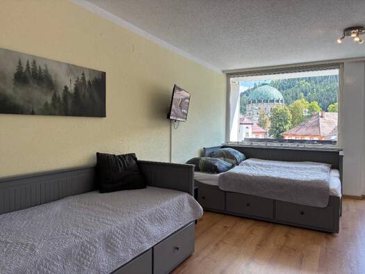 Wohnung zum Kauf 69.000 € 1 Zimmer 33 m² 2. Geschoss St Blasien St. Blasien 79837