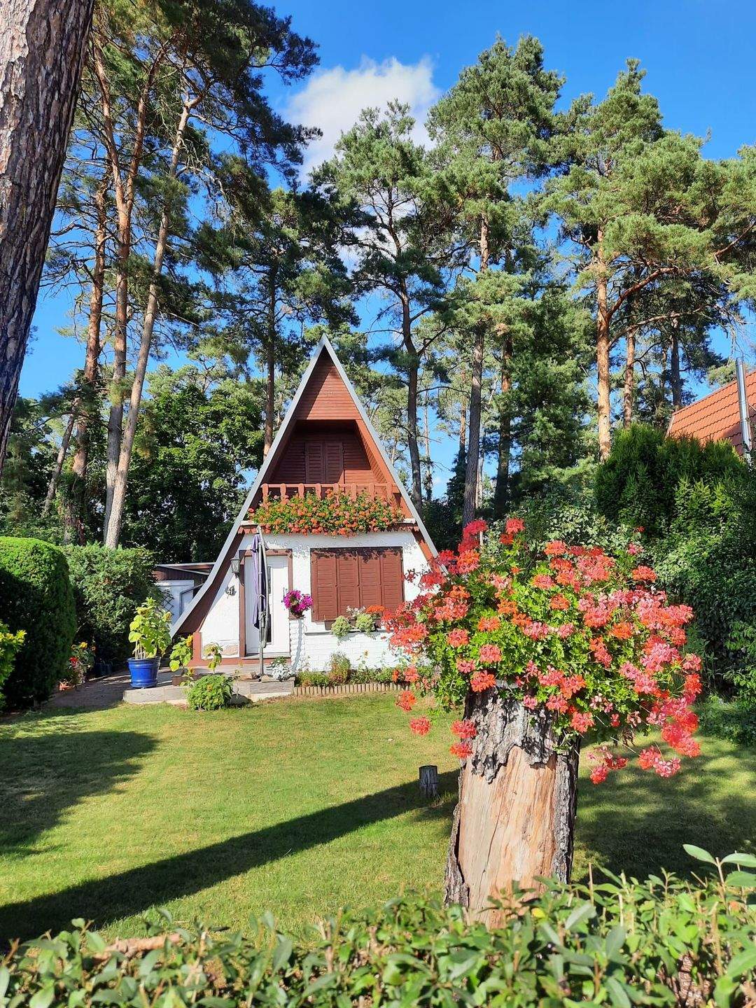 Immobilie in Zerbst/Anhalt - Wochenendgrundstück in Waldnähe  - Bild 1