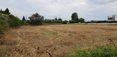 Land-/Forstwirtschaft zum Kauf 500.000 € 4.800 m² Grundstück Chalkidiki