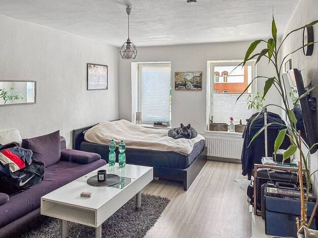 Wohnung zur Miete 325 € 1 Zimmer 37 m² Dachgeschoss Wittorf Neumünster 24539
