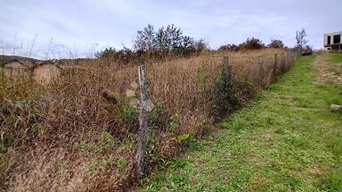 Land-/Forstwirtschaft zum Kauf Markusevec 10000