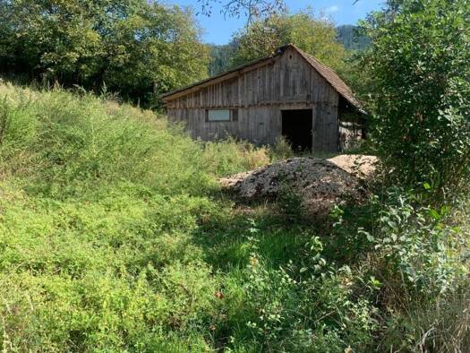 Land-/Forstwirtschaft zum Kauf 249.000 € 27.000 m² Grundstück St. Veit an der Glan 9300