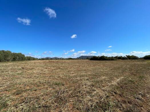 Grundstück zum Kauf 750.000 € 14.200 m² Grundstück Llucmajor 07620