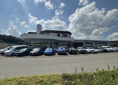 Halle/Industriefläche zur Miete provisionsfrei 8,17 € 600 m² Lagerfläche Im Eschle 11 Hindelwangen Stockach 78333