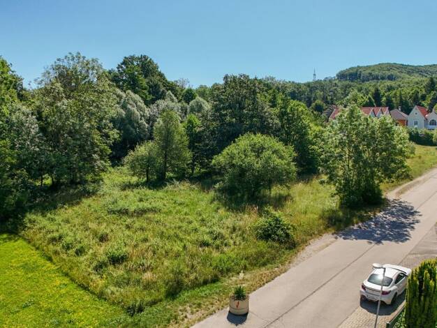 Grundstück zum Kauf 299.000 € 901 m² Grundstück Purkersdorf 3002