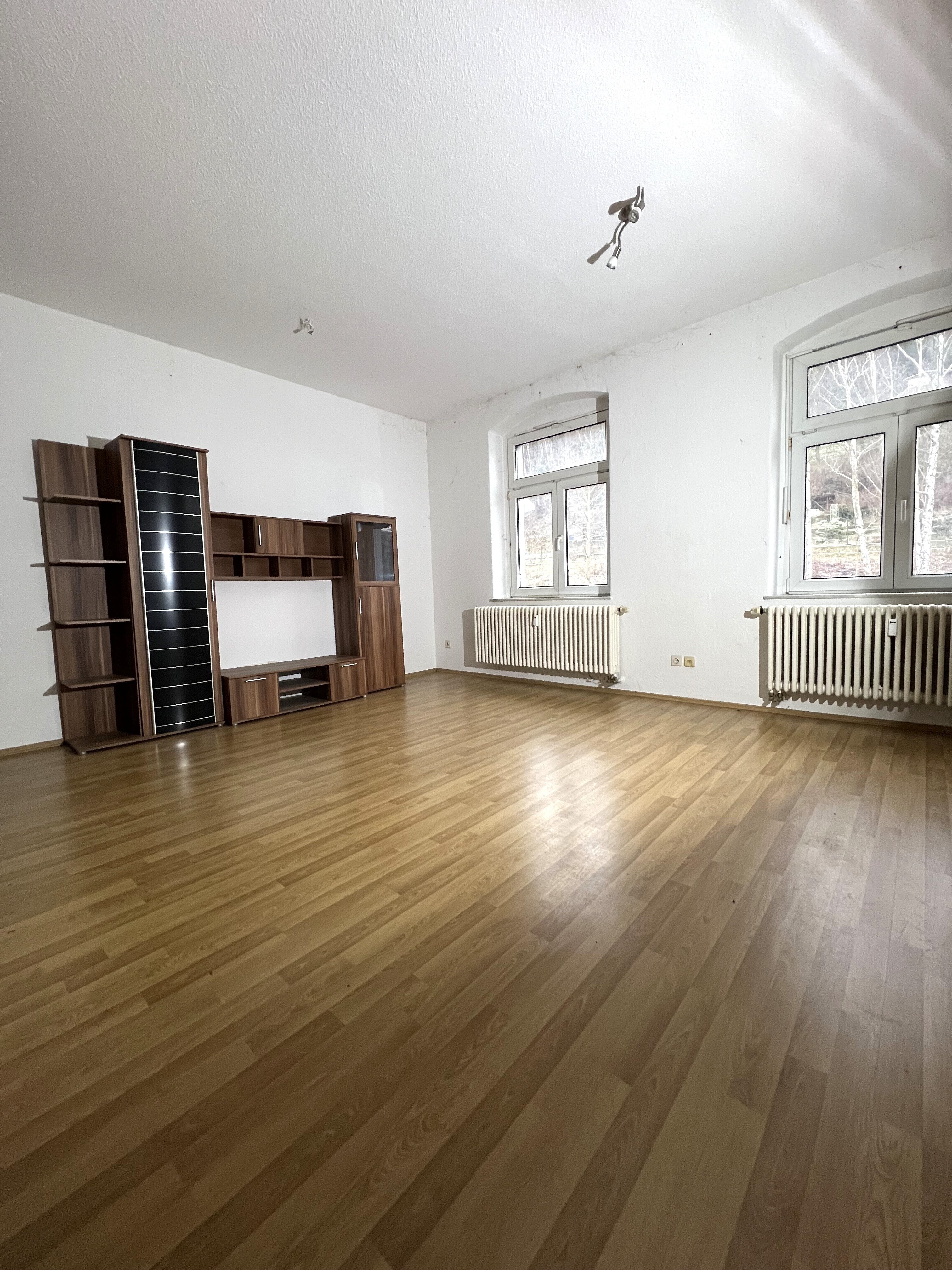 Wohnung zur Miete 280 € 2,5 Zimmer 46 m²<br/>Wohnfläche 1.<br/>Geschoss Auerhammerstr. 47 Aue 08280