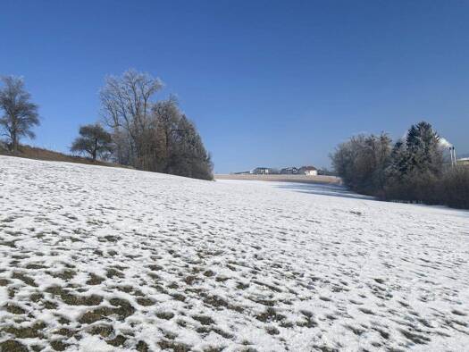 Grundstück zum Kauf 123.000 € 702 m² Grundstück Hauptstraße Nußbach 4542