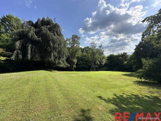 Grundstück zum Kauf 350.000 € 4.170 m² Grundstück Bad Driburg 33014