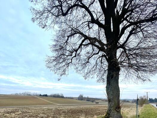Landwirtschaftliche Fläche zum Kauf 258.786 € 15.684 m² Grundstück Pförring Pförring 85104
