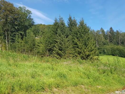 Grundstück zum Kauf 108.000 € 1.297 m² Grundstück Rotheau 3153