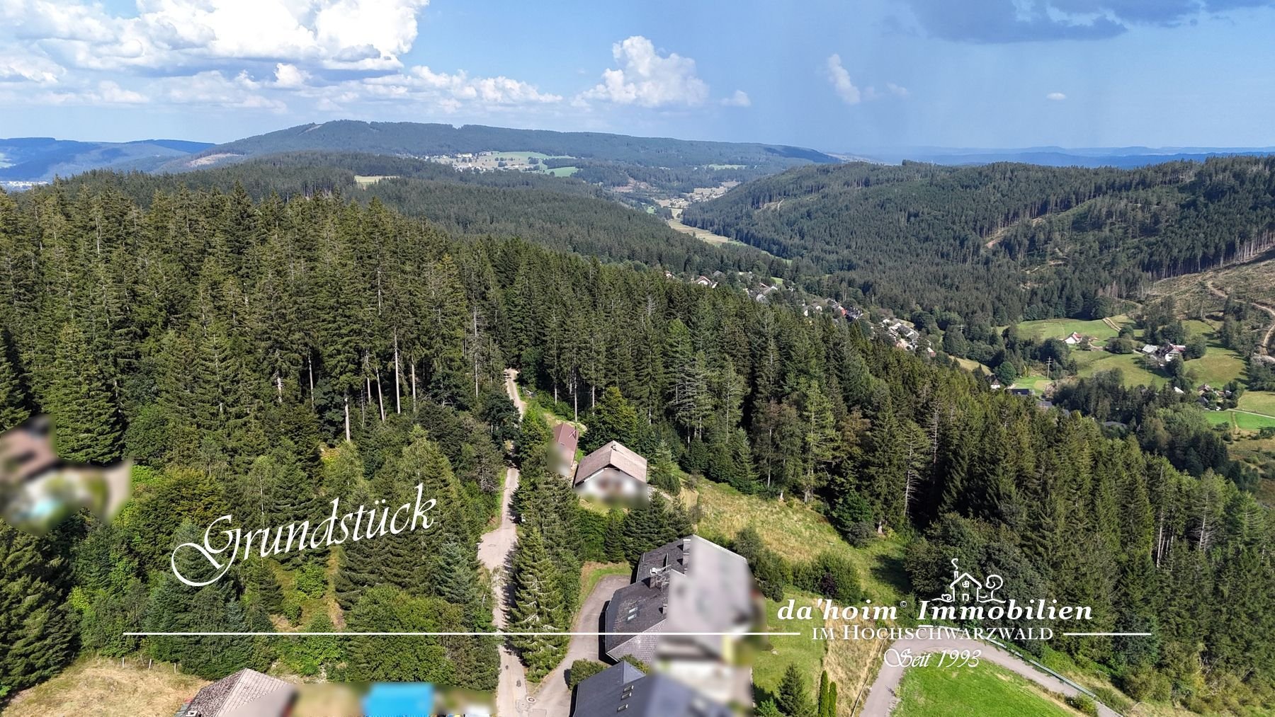 Grundstück zum Kauf 320.000 € 2.425 m²<br/>Grundstück Falkau Feldberg 79868