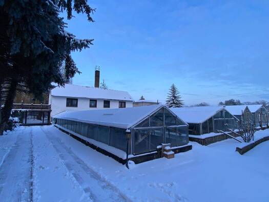 Einfamilienhaus zum Kauf 178.000 € 4 Zimmer 95 m² 3.874 m² Grundstück Aken Aken (Elbe) 06385