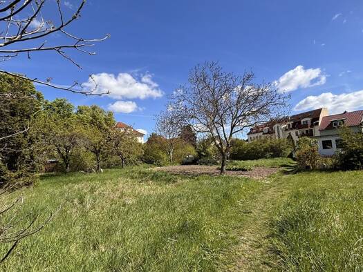 Freizeitgrundstück zum Kauf 10.000 € 170 m² Grundstück frei ab sofort Knautkleeberg-Knauthain Südwest 04249