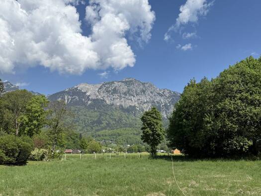 Grundstück zum Kauf 890.000 € 1.176 m² Grundstück Karlstein Bad Reichenhall 83435