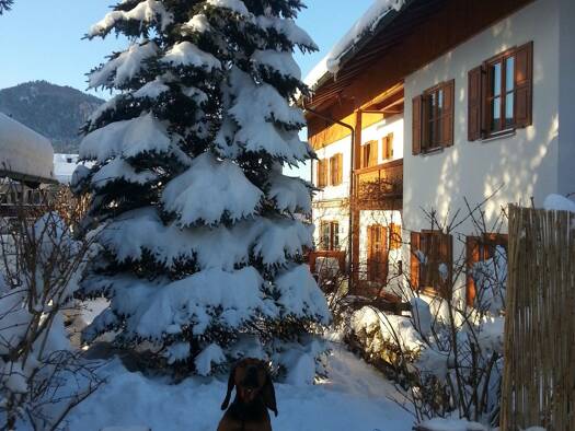 Wohnung zum Kauf provisionsfrei 690.000 € 3 Zimmer 81,3 m² Geschoss 2/3 Trinis Rottach-Egern 83700