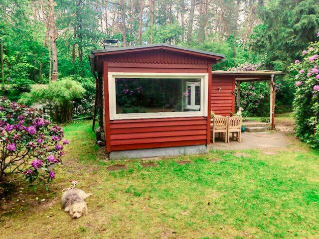 House in Buchholz in der Nordheide, Landkreis Harburg - Ansicht 6