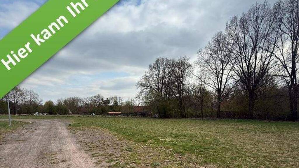 Einfamilienhaus zum Kauf - Erstbezug provisionsfrei 293.450 € 5 Zimmer 119 m² 904 m² Grundstück An den Buchen Hohne 29362