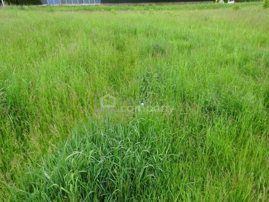 Grundstück zum Kauf 169.000 € 929 m² Grundstück Horn 3580