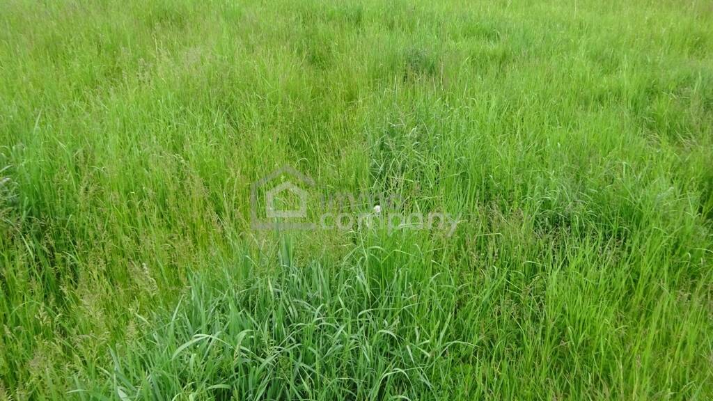 Grundstück zum Kauf 169.000 € 929 m² Grundstück Horn 3580