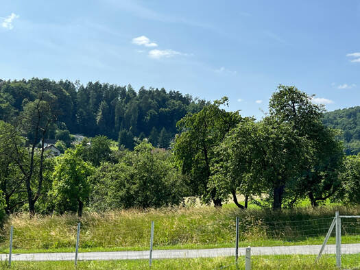 Grundstück zum Kauf 219.000 € 1.473 m² Grundstück Niedermirsberg Ebermannstadt / Niedermirsberg 91320