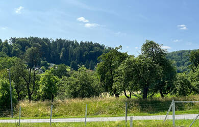 Grundstück zum Kauf 219.000 € 1.473 m² Grundstück Niedermirsberg Ebermannstadt / Niedermirsberg 91320