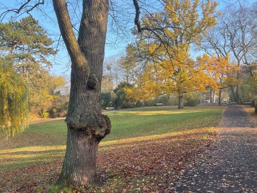 Reihenhaus zum Kauf 715.000 € 5 Zimmer 100 m² 297 m² Grundstück frei ab sofort Dahlem Berlin 14195