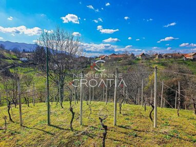 Land-/Forstwirtschaft zum Kauf 13.000 € Salinovec