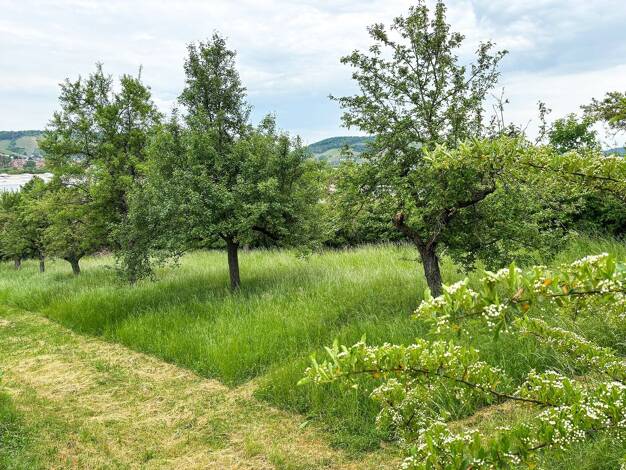 Grundstück zum Kauf 340.000 € 1.702 m² Grundstück Heidingsfeld Würzburg 97084