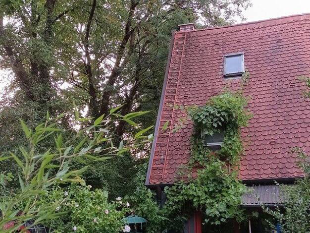 Reihenendhaus zum Kauf provisionsfrei 850.000 € 3 Zimmer 50 m² 248 m² Grundstück Berg am Laim München 81671