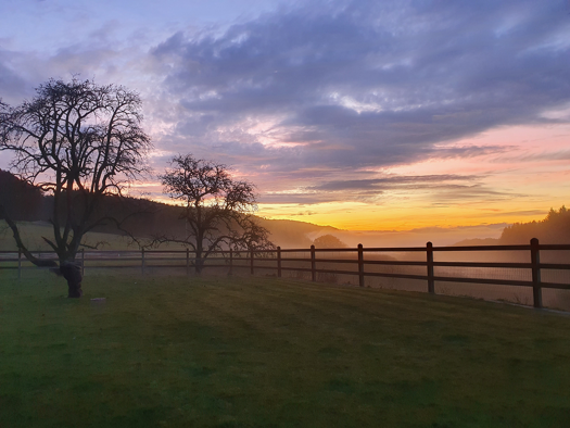 Einfamilienhaus zum Kauf 1.850.000 € 80.000 m² Grundstück Wallbach Bad Säckingen 79713