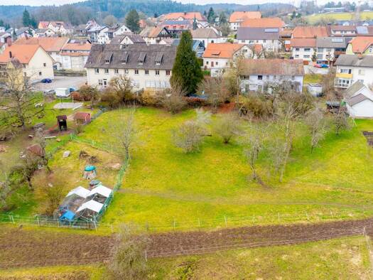 Mehrfamilienhaus zum Kauf 425.000 € 9 Zimmer 230 m² 3.204 m² Grundstück Schachen Albbruck 79774