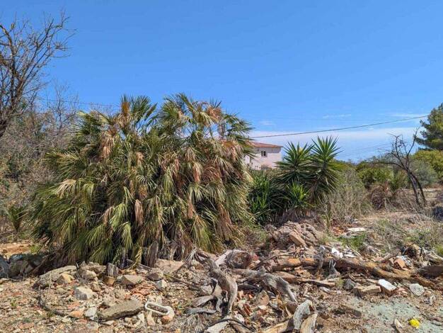 Grundstück zum Kauf 250.000 € 1.240 m² Grundstück Denia 03700