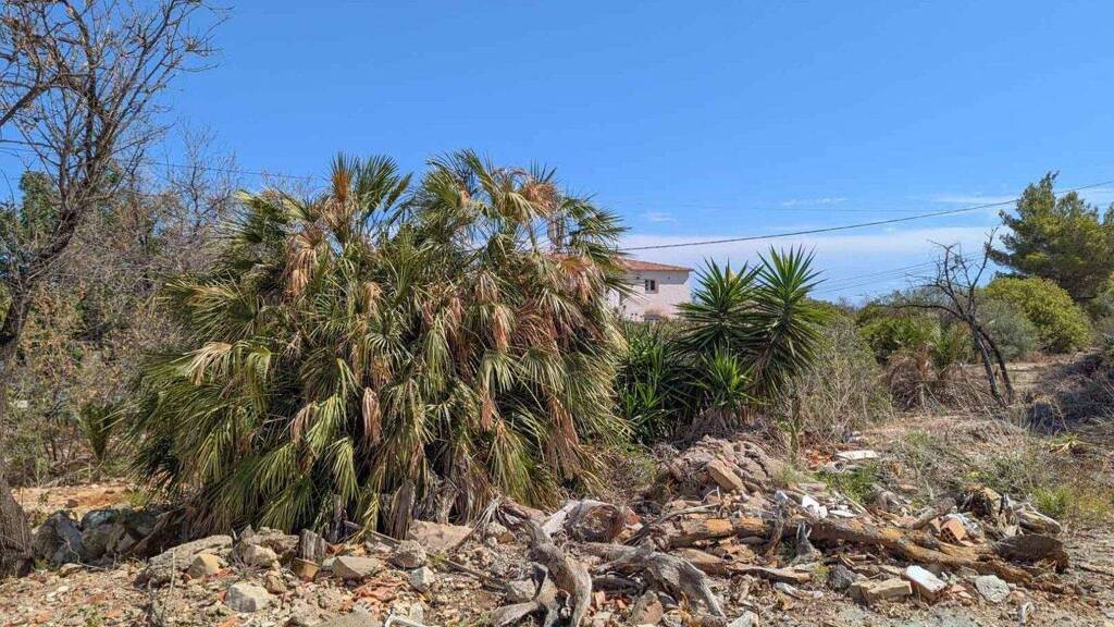 Grundstück zum Kauf 250.000 € 1.240 m² Grundstück Denia 03700