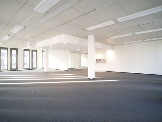 Büro zur Miete provisionsfrei 17 € 267 m² Bürofläche Adlershof Berlin 12489