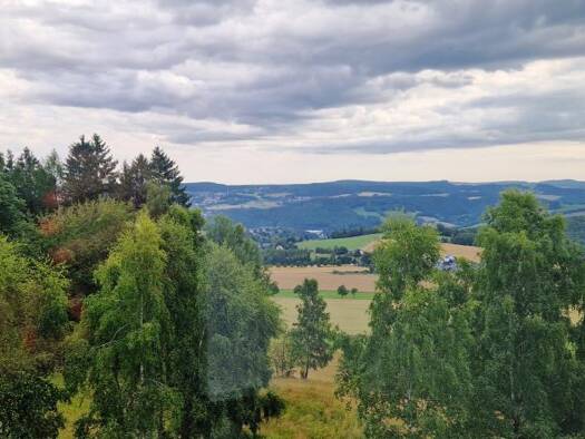 Loft zum Kauf 76.500 € 2 Zimmer 75 m² Bermsgrün Schwarzenberg/Erzgeb. 08340