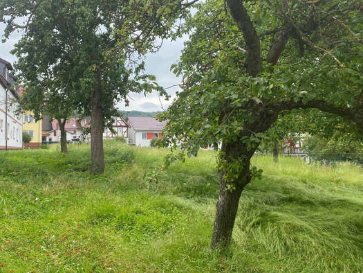 Grundstück zum Kauf provisionsfrei 1.000 m² Grundstück Hinterdorf Vollenborn Deuna 37355