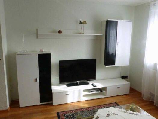 Wohnung zur Miete 650 € 2 Zimmer 50 m² 1. Geschoss frei ab sofort Moorenbrunn Nürnberg 90475