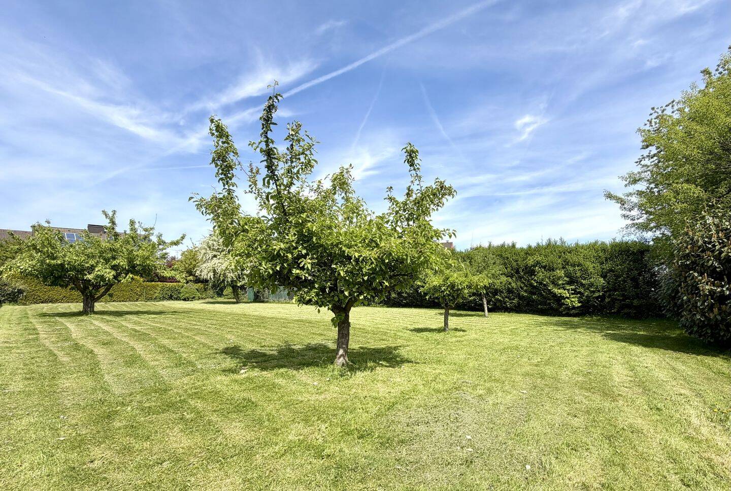 Mehrfamilienhaus zum Kauf – pohled 3
